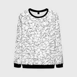 Мужской свитшот Белые мыши