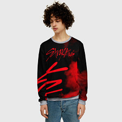 Свитшот мужской Stray Kids, цвет: 3D-меланж — фото 2