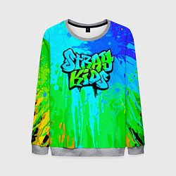 Свитшот мужской Stray Kids, цвет: 3D-меланж