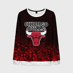 Свитшот мужской CHICAGO BULLS, цвет: 3D-белый