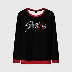 Свитшот мужской STRAY KIDS, цвет: 3D-красный