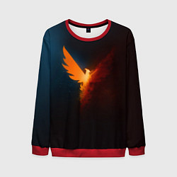 Мужской свитшот The Division 2