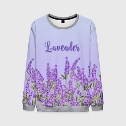 Свитшот мужской Lavander, цвет: 3D-меланж