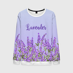 Свитшот мужской Lavander, цвет: 3D-белый