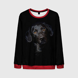 Свитшот мужской Пес, цвет: 3D-красный