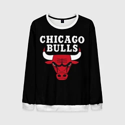 Свитшот мужской CHICAGO BULLS, цвет: 3D-белый