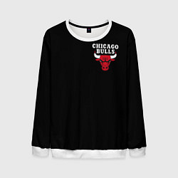 Мужской свитшот CHICAGO BULLS