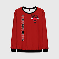 Свитшот мужской CHICAGO BULLS, цвет: 3D-черный