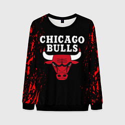 Свитшот мужской CHICAGO BULLS, цвет: 3D-черный