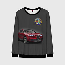 Мужской свитшот Alfa Romeo - Italy