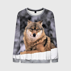 Свитшот мужской Wolf Волк, цвет: 3D-меланж