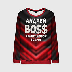 Мужской свитшот Андрей БОСС решит любой вопрос