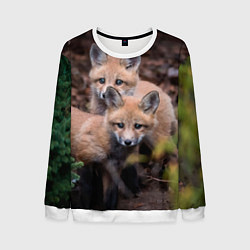 Мужской свитшот Лисички фото