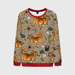 Мужской свитшот Котики и колбы