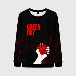 Свитшот мужской Green day, цвет: 3D-черный
