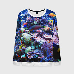Свитшот мужской Коралловые рыбки, цвет: 3D-белый
