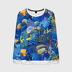 Мужской свитшот Коралловые рыбки