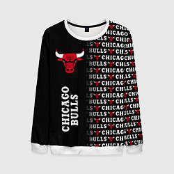 Свитшот мужской CHICAGO BULLS 7, цвет: 3D-белый