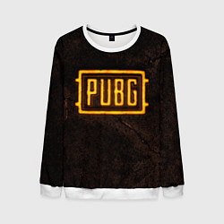 Мужской свитшот PUBG ПАБГ NEON