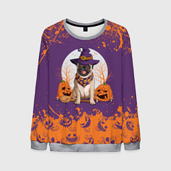 Мужской свитшот Мопс на хэллоуин