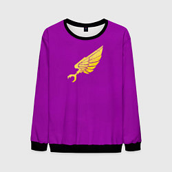 Свитшот мужской Дети Императора до Ереси Хоруса цвет легиона, цвет: 3D-черный