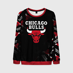 Мужской свитшот ЧИКАГО БУЛЛС БЫКИ CHICAGO BULLS