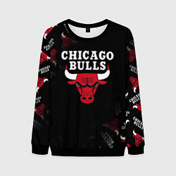 Свитшот мужской ЧИКАГО БУЛЛС БЫКИ CHICAGO BULLS, цвет: 3D-черный