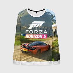 Мужской свитшот Forza Horizon 5, игра
