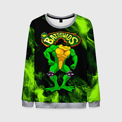 Свитшот мужской Battletoads Rash, цвет: 3D-меланж