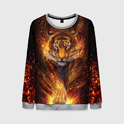 Свитшот мужской Огненный тигр Сила огня, цвет: 3D-меланж