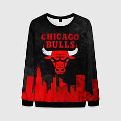 Свитшот мужской Chicago Bulls, Чикаго Буллз Город, цвет: 3D-черный