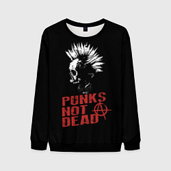 Мужской свитшот Punks Not Dead