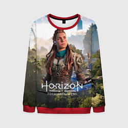 Мужской свитшот Aloy Элой Horizon