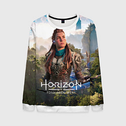 Мужской свитшот Aloy Элой Horizon