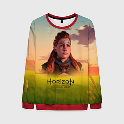 Мужской свитшот Horizon Forbidden West Aloy