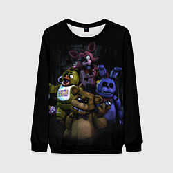 Свитшот мужской Five Nights at Freddys - FNAF персонажи игры, цвет: 3D-черный