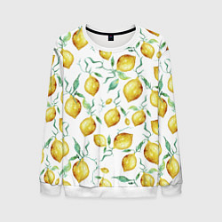 Свитшот мужской Лимоны Нарисованные Акварелью, цвет: 3D-белый