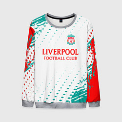 Свитшот мужской Liverpool краски, цвет: 3D-меланж