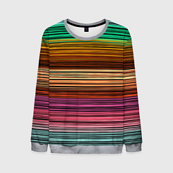 Мужской свитшот Multicolored thin stripes Разноцветные полосы