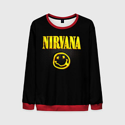 Мужской свитшот NIRVANA соты