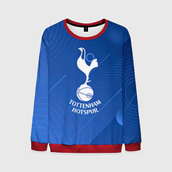 Мужской свитшот Tottenham hotspur SPORT