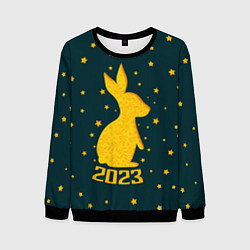 Свитшот мужской Год кролика - 2023, цвет: 3D-черный