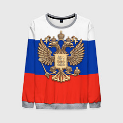 Мужской свитшот Герб России на фоне флага