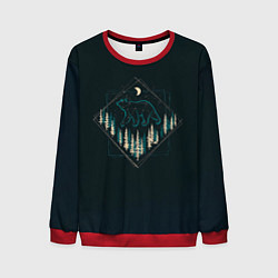 Мужской свитшот Созвездие медведицы