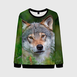 Свитшот мужской Волк на фоне зелени, цвет: 3D-черный