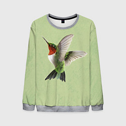 Свитшот мужской Одинокая колибри, цвет: 3D-меланж