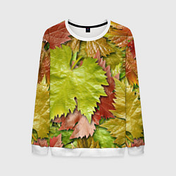 Свитшот мужской Осенние листья клёна - паттерн, цвет: 3D-белый