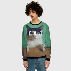 Свитшот мужской Мем с котом - голод, цвет: 3D-черный — фото 2