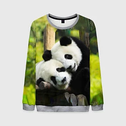 Свитшот мужской Влюблённые панды, цвет: 3D-меланж