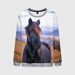 Свитшот мужской Черный конь, цвет: 3D-меланж